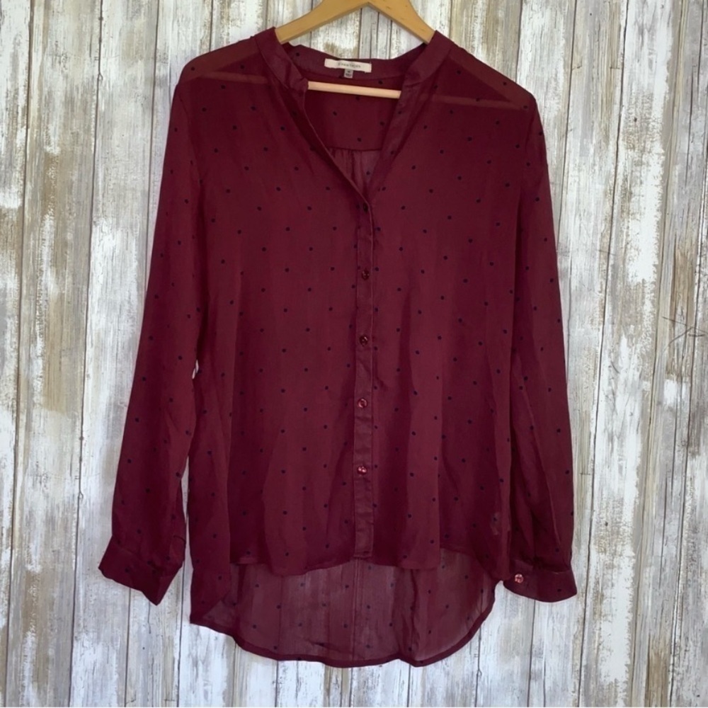 41 Hawthorn Red Dot High Low Button Down